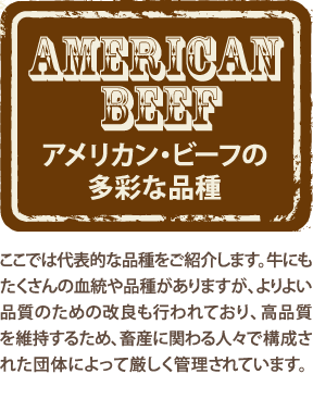 アメリカン・ビーフの多彩な品種